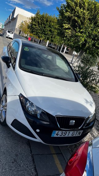 SEAT Ibiza 2010