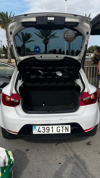 SEAT Ibiza 2010
