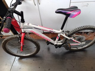 Bicicleta junior Rosa