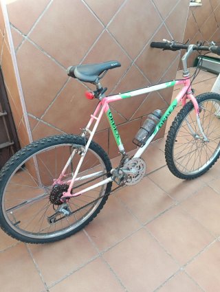 Bicicleta Montaña Antigua