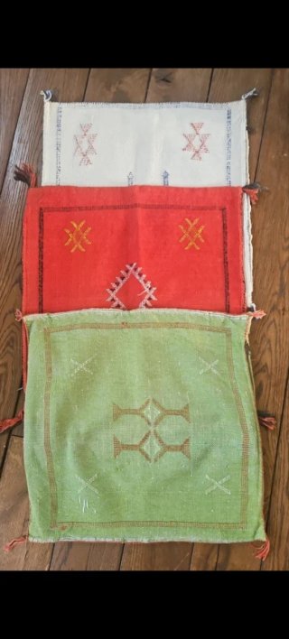 Funda cojín Sabrá seda cactus blanca