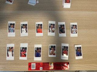 Lotto di figurine Panini Coca-Cola Coppa del Mondo FIFA
