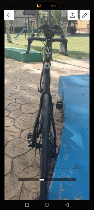 Bicicleta Pinarello Razha Carbono