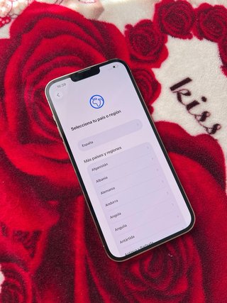 iPhone 13 Pro Max LEES ANUNCIO
