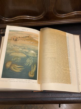 ANTIGUA COLECCION COMPLETA. HIJOS DE J. ESPASA