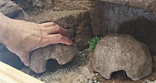 Fondo 3D tipo puzzle para terrario reptiles