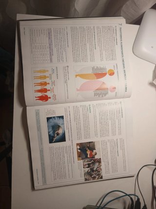 Anatomía aplicada