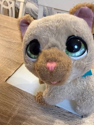 Gatito de peluche suave
