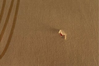 Fundas nórdicas 90cm