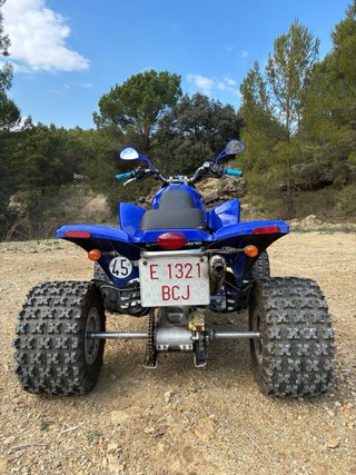 Quad Gas Gas Wild 300 2T