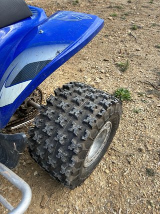 Quad Gas Gas Wild 300 2T