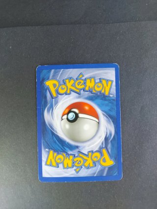 Carta Pokemon Pidgeotto 34/110 Reverse Holo