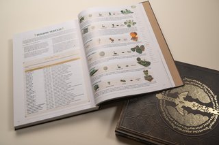 Guia The Legend of Zelda: Tears of the Kingdom Edición Coleccionista