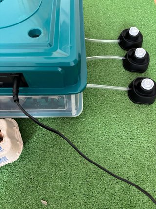 Incubadora Chocadeira Automática 36 Ovos