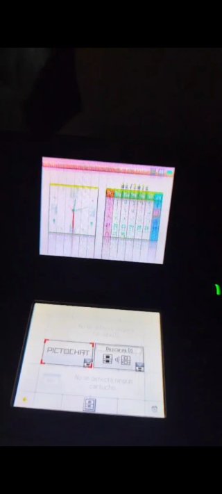 Nintendo DS Lite Nera (Leggi la descrizione)
