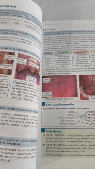 Técnicas Odontológica/Estomatológica - 9788413215808