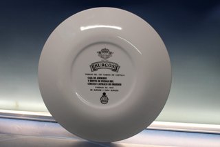 Plato de porcelana Royal China: Burgos.