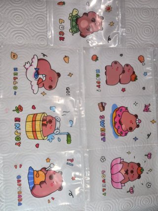 16 Bolsas Herméticas Capibara