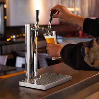 Kit de Torre de Kegerator, Kit de Conversión de Cerveza de Doble Grifo, Dispensador de Torre de Cerveza de Acero Inoxidable con Regulador de Doble Medida W21.8 y Acoplador de Barril de Sistema S, ...