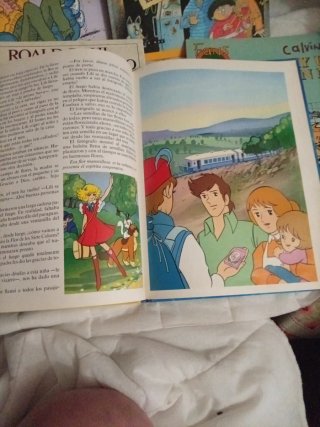 Libro infantil antiguo El Misterio de la Flor Mági