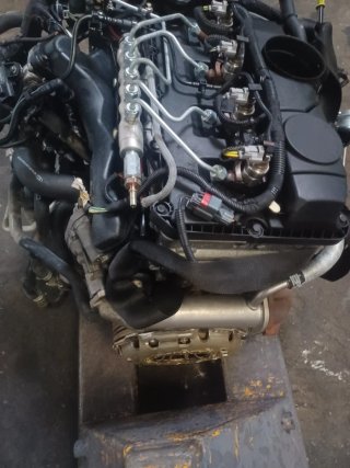 Motor Ford Transit