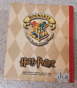 Libro Harry Potter (Falso)