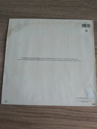 Disco Vinilo Homely Girl UB 40