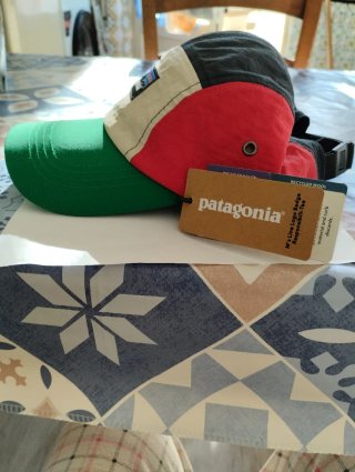 Cappellino Patagonia 5 pannelli