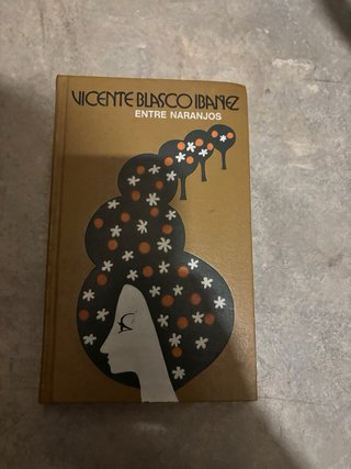 Lote de libros Vicente Blasco Ibáñez