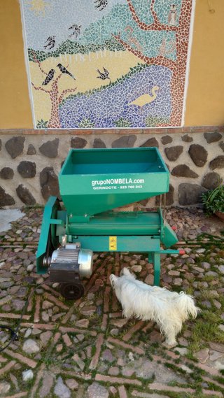 Máquina peladora almendra y pistacho