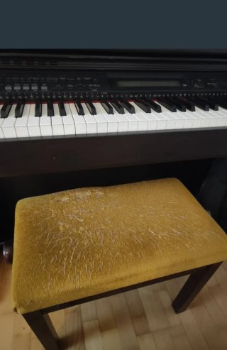 Piano Digital Casio Celviano AP-80R
