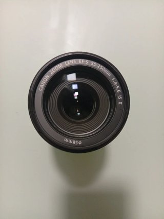 Objetivo Canon EFS 55-250mm
