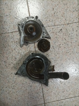 Tapa y palometa bomba agua Kawasaki 500