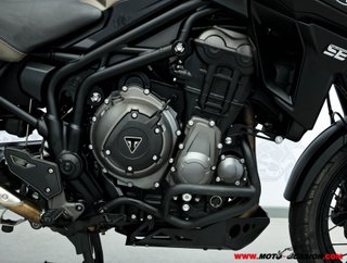 TRIUMPH TIGER 1200 DESERT EDITION