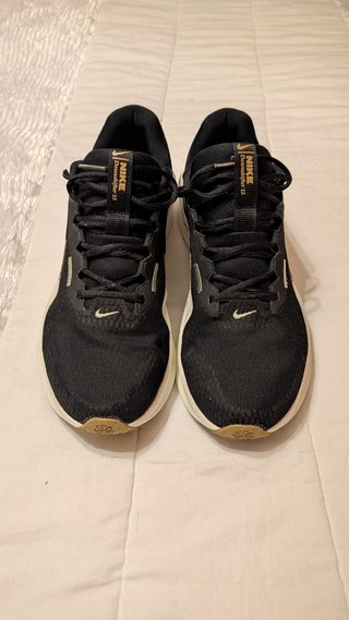 Nike Downshifter 13 Zapatillas Running Negro/Dorad