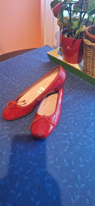 Zapatos planos varios coloresT. 40-41