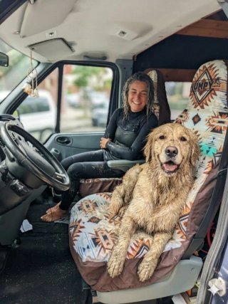 Fundas Asiento Coche Impermeables Surf Perro Playa