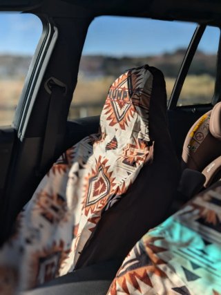 Fundas Asiento Coche Impermeables Surf Perro Playa