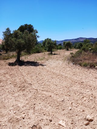 Bello terreno rutico