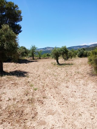 Bello terreno rutico