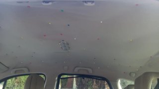 Renault Scenic 2007