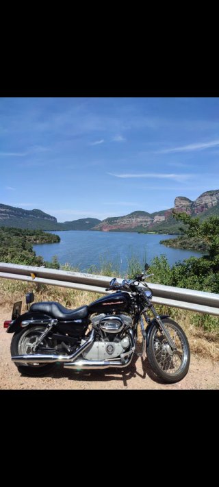 Harley Davidson Sportster 833 Custom XL Negra