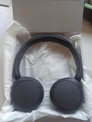 Cascos Sony WH-CH520 Negros