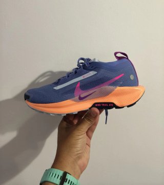 T38 Nike Pegasus Trail 5  Gore-Tex