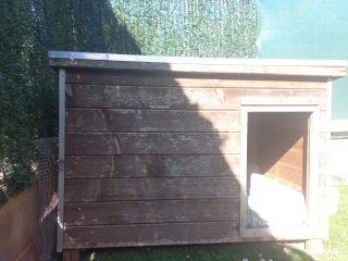 Caseta para perro de madera xl