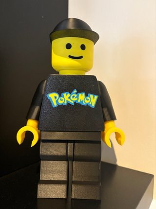 Brick Lego 20cm Pokemon