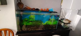 Acuario completo