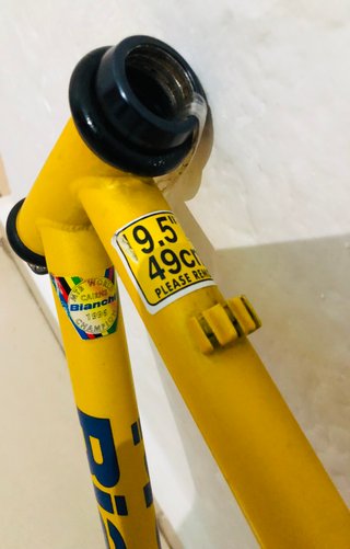 Cuadro Bianchi XC211 Cromoly