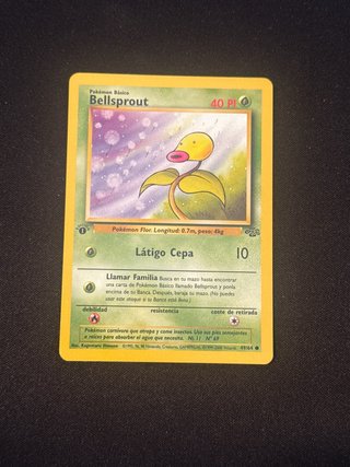 11 Cartas Pokémon Jungle 1ª Edición Español