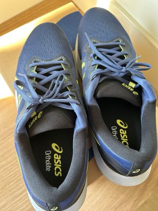 Zapatillas Asics gel pluse 13